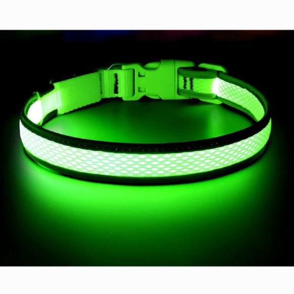 LED Dog Collar, Adjustable Comfortable Soft Mesh Safety Dog Collar , Gre… - Picture 1 of 5